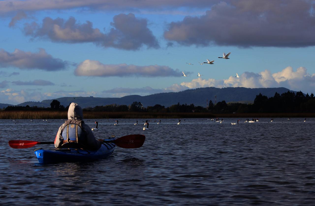 Casa Rio Vivo Villa Valdivia Exteriör bild